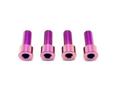 Titanium Peg Bracket Bolts - E-moto