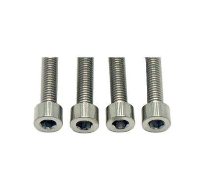 Titanium Controller Mount Bolts for E-moto