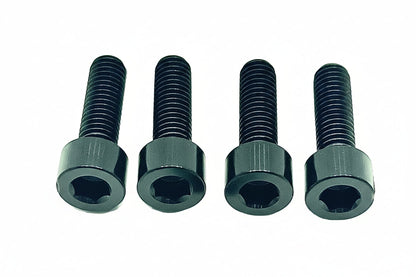 Titanium Controller Mount Bolts for E-moto
